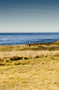 Man, Meadow, Sea as backdrop